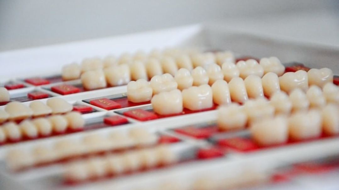 teeths in dental practice
