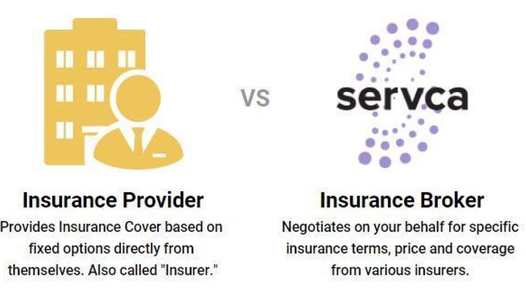 description of insurers vs servca