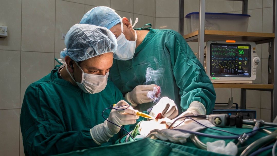 two surgeons operating