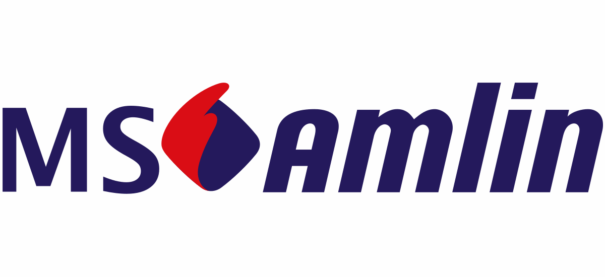 MS AMlin logo